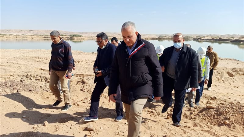 فيتو
