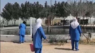 بث مباشر.. أول مزرعة سمكية متكاملة تعمل بالطاقة الشمسية في قنا