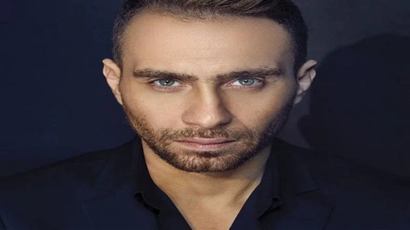حسام حبيب