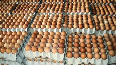 التموين: 58 جنيها سعر كرتونة البيض.. وهذا سعر اللحم البرازيلي