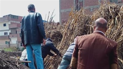 تحرير 813 محضر تبوير أراض زراعية خلال أسبوعين بالمنوفية