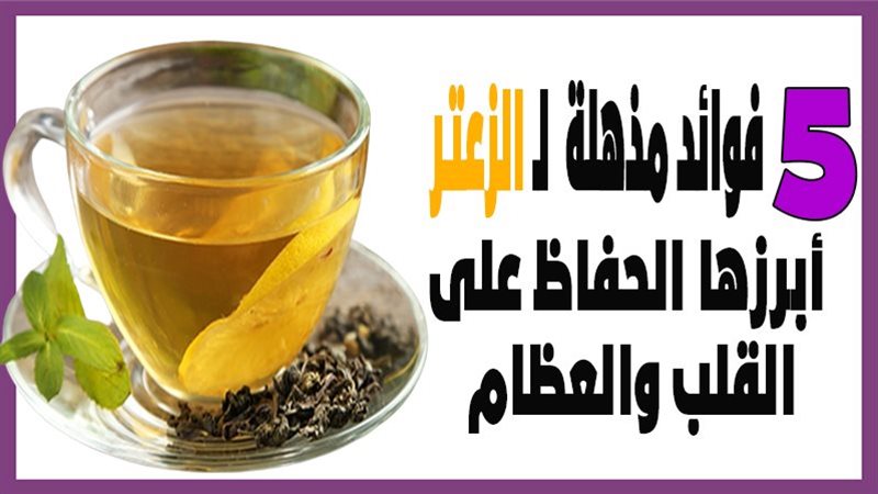 فوائد الزعتر