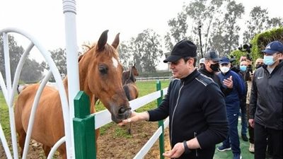 كل ما تريد معرفته عن مستجدات تنفيذ مدينة مرابط ومحطة الزهراء للخيول العربية