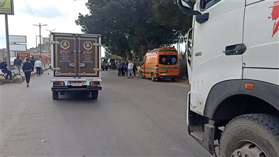 أسماء الضحايا والمصابين في واقعة سقوط شجرة على طريق المنصورة - القاهرة