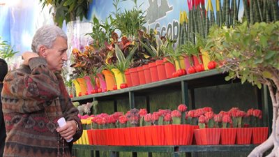 «الورد جميل».. معرض زهور الربيع يستقبل زوراه لليوم السادس| صور