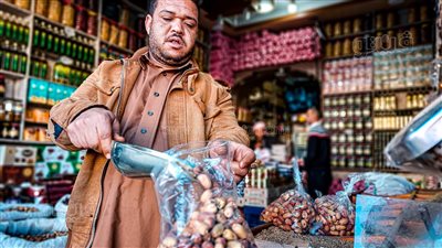 ملك الإفطار في رمضان.. أسواق البلح تنتعش بمطروح.. إقبال كبير على السيوي.. والاسعار تبدأ من 15 جنيها| فيديو وصور