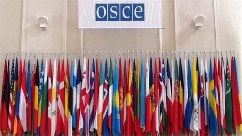 منظمة الأمن والتعاون