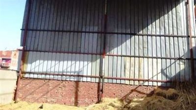 حملات مكبرة على أملاك الدولة والأراضي الزراعية بالشرقية 