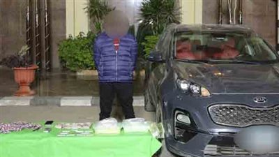 القبض على 123 تاجر مخدرات وتشكيلين عصابيين 