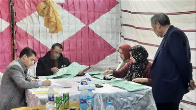 نقيب مهندسي الإسماعيلية يتابع عمليات فرز الأصوات| صور