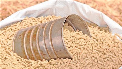 اخبار الاقتصاد| تراجع سعر الأعلاف 400 جنيه.. ومحمد فريد قائمًا بأعمال رئيس الرقابة المالية 