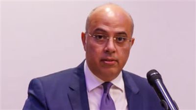 عودة 30 مصريًا من أوكرانيا عبر المجر.. اليوم 