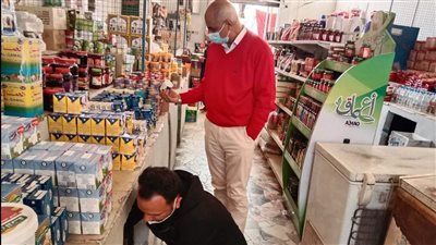 تحرير 15 مخالفة تموينية خلال حملات بالتل الكبير بالإسماعيلية | صور