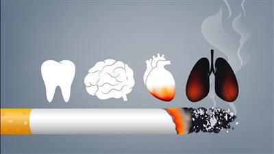 الصحة تحذر من التدخين: يسبب 4 أمراض.. أخطرها تليف الرئة