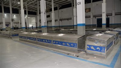 جولة داخل سوق الأسماك الجديد بالإسماعيلية | صور 