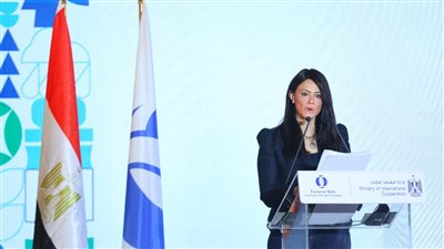 رانيا المشاط: تنفيذ مشروعات صغيرة ومتوسطة بتمويلات 1.39 مليار دولار