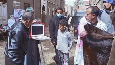 تنظيم قافلة بيطرية مجانية بقرية بني محمد بأسيوط ضمن 