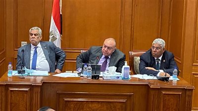 نقل النواب: ندعم تنفيذ المشروعات القومية.. وقرقر: الرئيس يتابع بنفسه