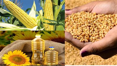 الأسوأ لم يصل بعد.. هل يتأثر العرب بفرض قيود على تصدير المنتجات الزراعية الأوكرانية؟