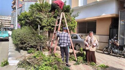 تكثيف حملات النظافة ودهان وإصلاح أعمدة الإنارة بالشرقية 