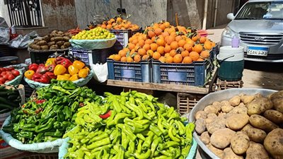 أسعار الخضروات والفاكهة اليوم السبت 12-3-2022 في الدقهلية