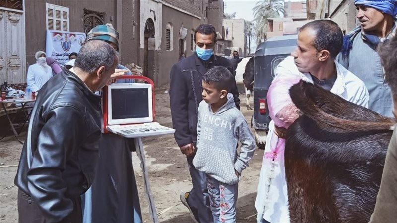 قافلة بأسيوط 