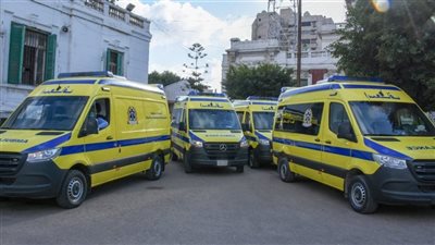 مصرع عامل نظافة صدمته سيارة مسرعة بالإسكندرية