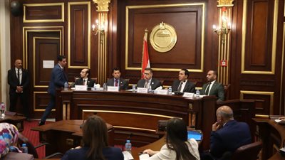 نائب: أخلاقيات الشباب في خطر.. ونحتاج إلى مجموعة وزارية لبناء الإنسان