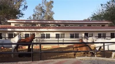 وادي الفروسية يستعد لاستقبال البطولات الدولية | فيديو