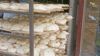 تحرير 16 محضرًا ضد أصحاب مخابز بلدية وسياحية لتلاعبهم في مواصفات الخبز بالغربية