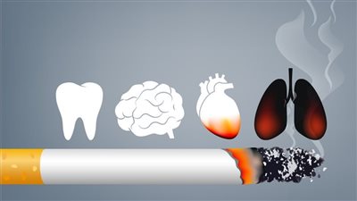 أستاذ أمراض صدرية: الشيشة تسبب الإصابة بمرض الدرن