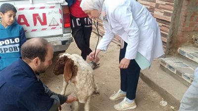 قافلة جامعة الزقازيق البيطرية تفحص 2459 طائرا وماشية بقرية غزالة