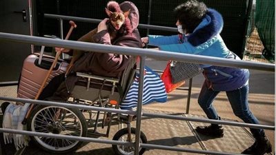 الكلاب والقطط تسبق الأوكرانيين نحو الحدود |صور