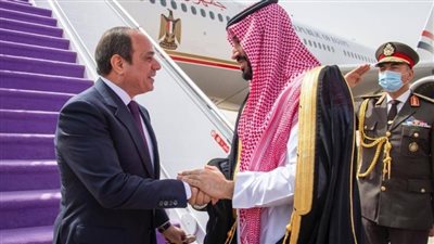 الرئيس السيسي وولي عهد السعودية يبحثان تحقيق المصلحة المشتركة والمنفعة المتبادلة للجانبين
