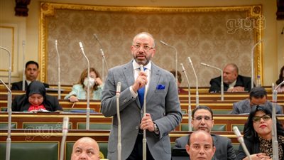 حسام المندوه: تعديل قانون الهجرة غير الشرعية يستهدف حماية أولادنا