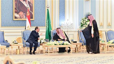 سد النهضة.. السعودية تؤكد دعمها الكامل للأمن المائي المصري باعتباره جزءًا من الأمن المائي العربي