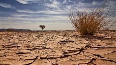 عام الرمادة.. كيف نعبر الأزمات وفق منهج الخلفاء الراشدين؟