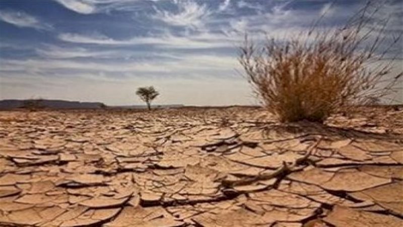 عام الرمادة 