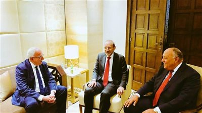 وزراء خارجية مصر وفلسطين والأردن يؤكدون مواصلة المساعي لإطلاق مفاوضات جادة مع إسرائيل