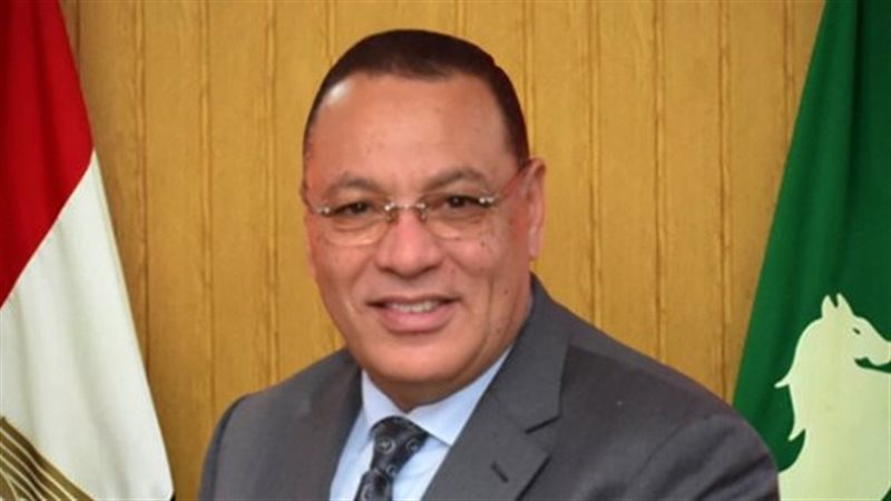 محافظ الشرقية