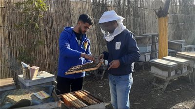 هنا مملكة العسـل.. 90٪ من أهالي 