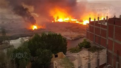 حريق هائل بمحمية سالوجا وغزال وسط نهر النيل في أسوان 