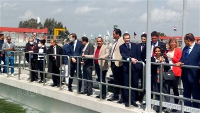 أخبار الشرقية: معاقبة 3 موظفين بالسجن لتسببهم في تفحم ذراع طفل..وممثل الاتحاد الأوروبي في فاقوس