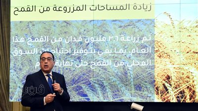 السيسي يكلف الحكومة بتوفير رصيد احتياطي دائم من السلع الأساسية يتراوح من 3 إلى 6 أشهر 