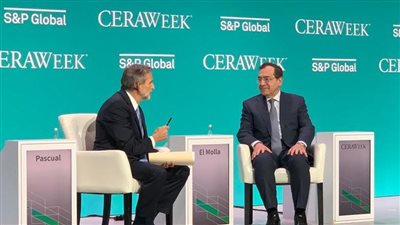 الملا: استراتيجية الدولة في تعزيز الشراكات خلقت سوقا منتعشا للغاز الطبيعي