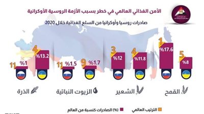 الأمن الغذائي العالمي في خطر بسبب الأزمة الروسية الأوكرانية | إنفوجراف 