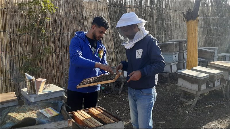 محرر ڤيتو داخل مناحل
