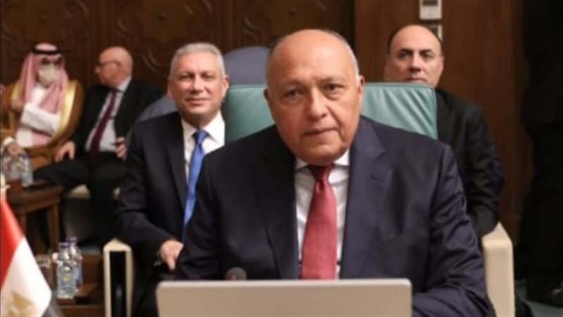 وزير الخارجية سامح