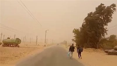عاصفة ترابية قوية على الطريق الصحراوي الغربي بالمنيا | فيديو وصور 