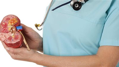 نصائح مهمة للحفاظ على صحة الكلى 